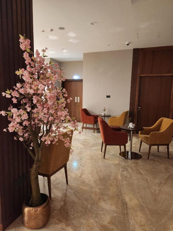 Kyriad Hotel 塞拉莱 外观 照片